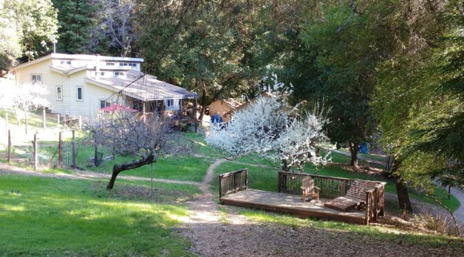 Spring Quarterly 2026