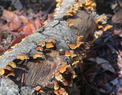 ’25 Year-End Retreat: Quaker Center and the Bible